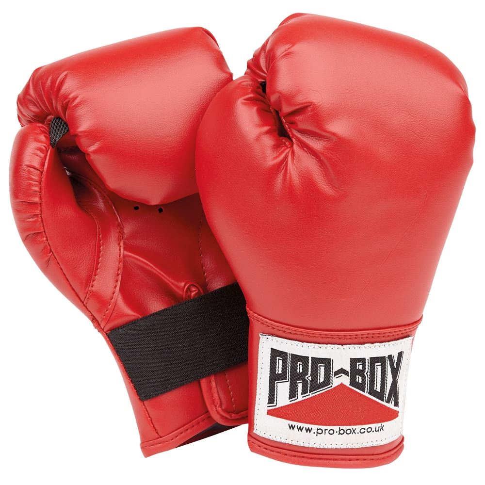 Pro Box Kidz Play Boxing Gloves