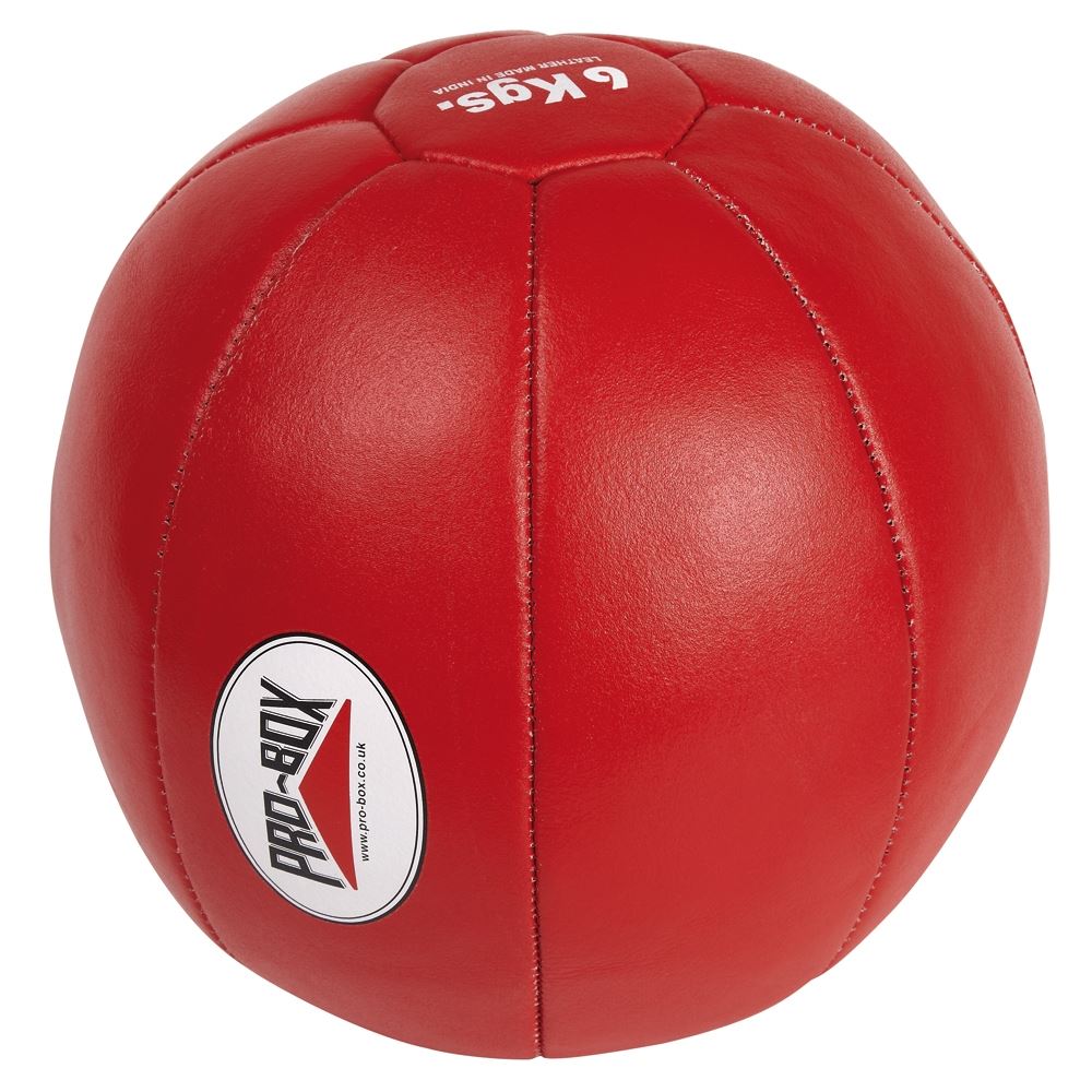 Pro Box Leather Medicine Balls