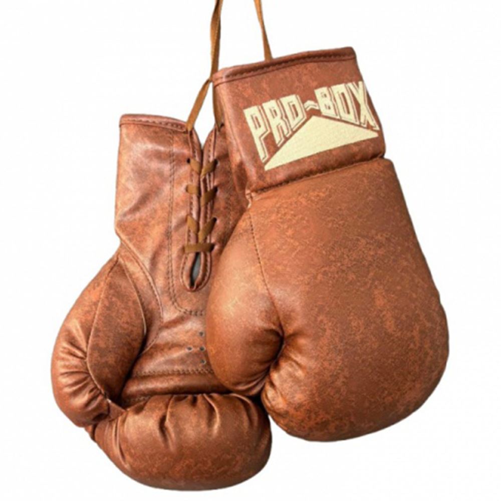 Pro Box Vintage Autograph Gloves