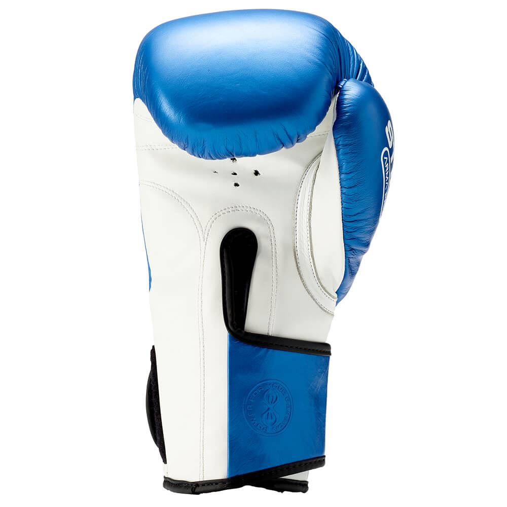 Sting Armapro Boxing Gloves