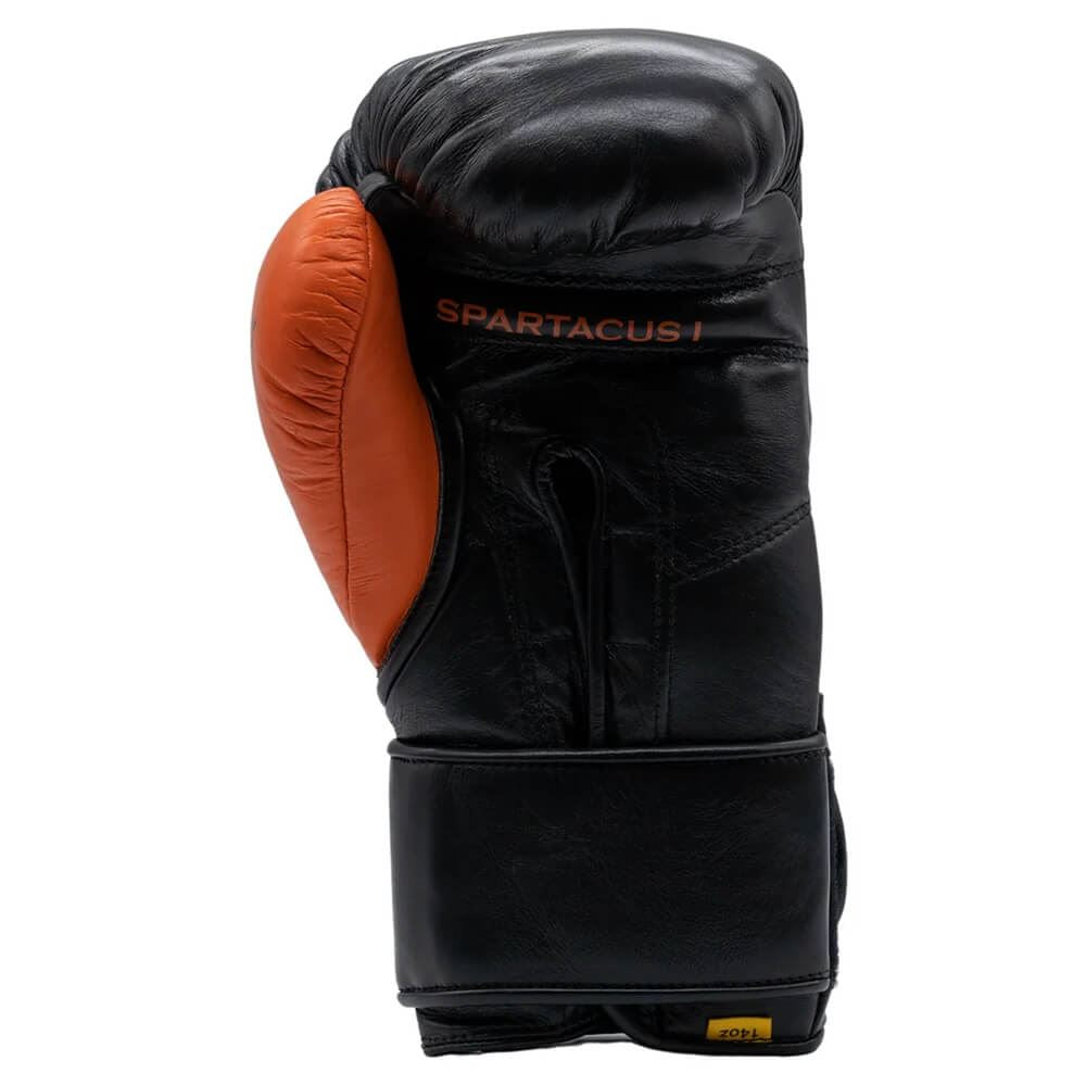 Empire Spartacus I Training Hook & Loop Gloves