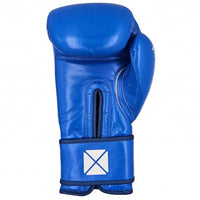 Thumbnail for PRO BOX LEATHER ESSENTIAL HOOK & LOOP BOXING GLOVES II