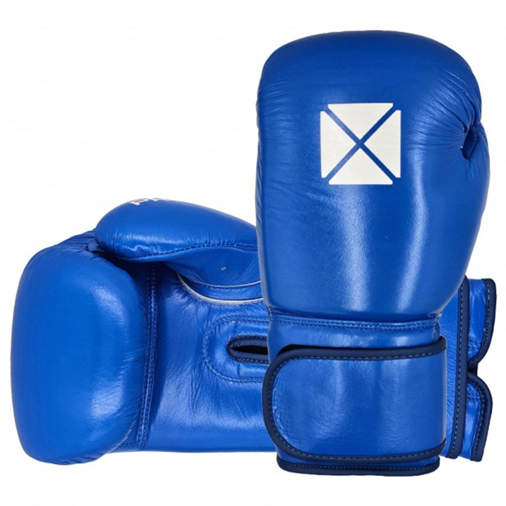 PRO BOX LEATHER ESSENTIAL HOOK & LOOP BOXING GLOVES II