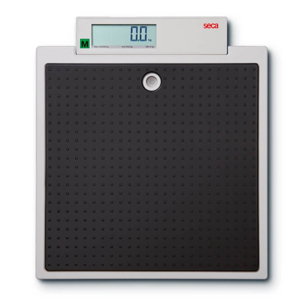 Seca 875 Flat Scales