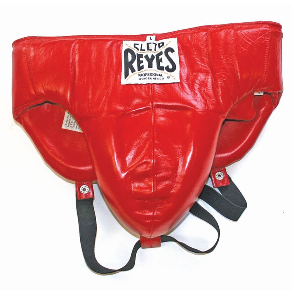 Cleto Reyes Foul Protection