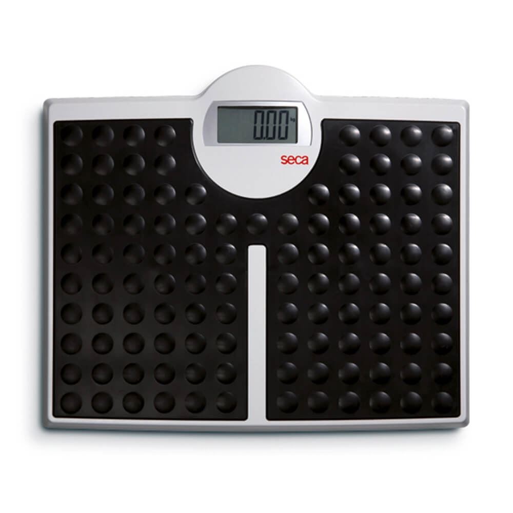 Seca Robusta 813 Scales