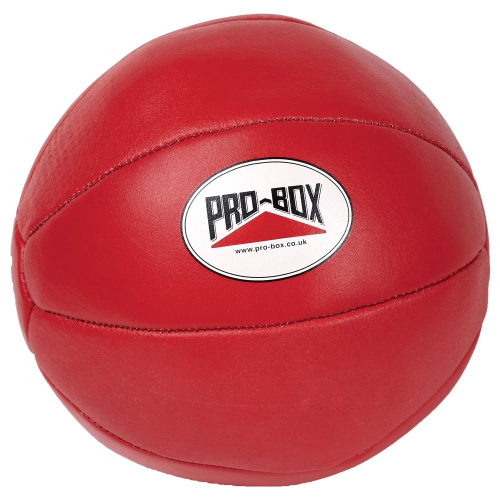 Pro Box Leather Medicine Balls