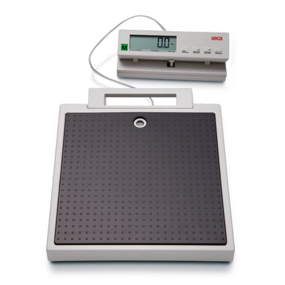 Seca 899 Flat Scales