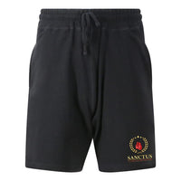 Thumbnail for Sanctus Academy Abc Training Shorts