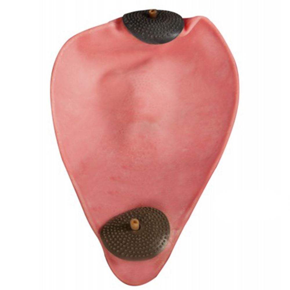 Cleto Reyes Latex 2-Valve Bladder