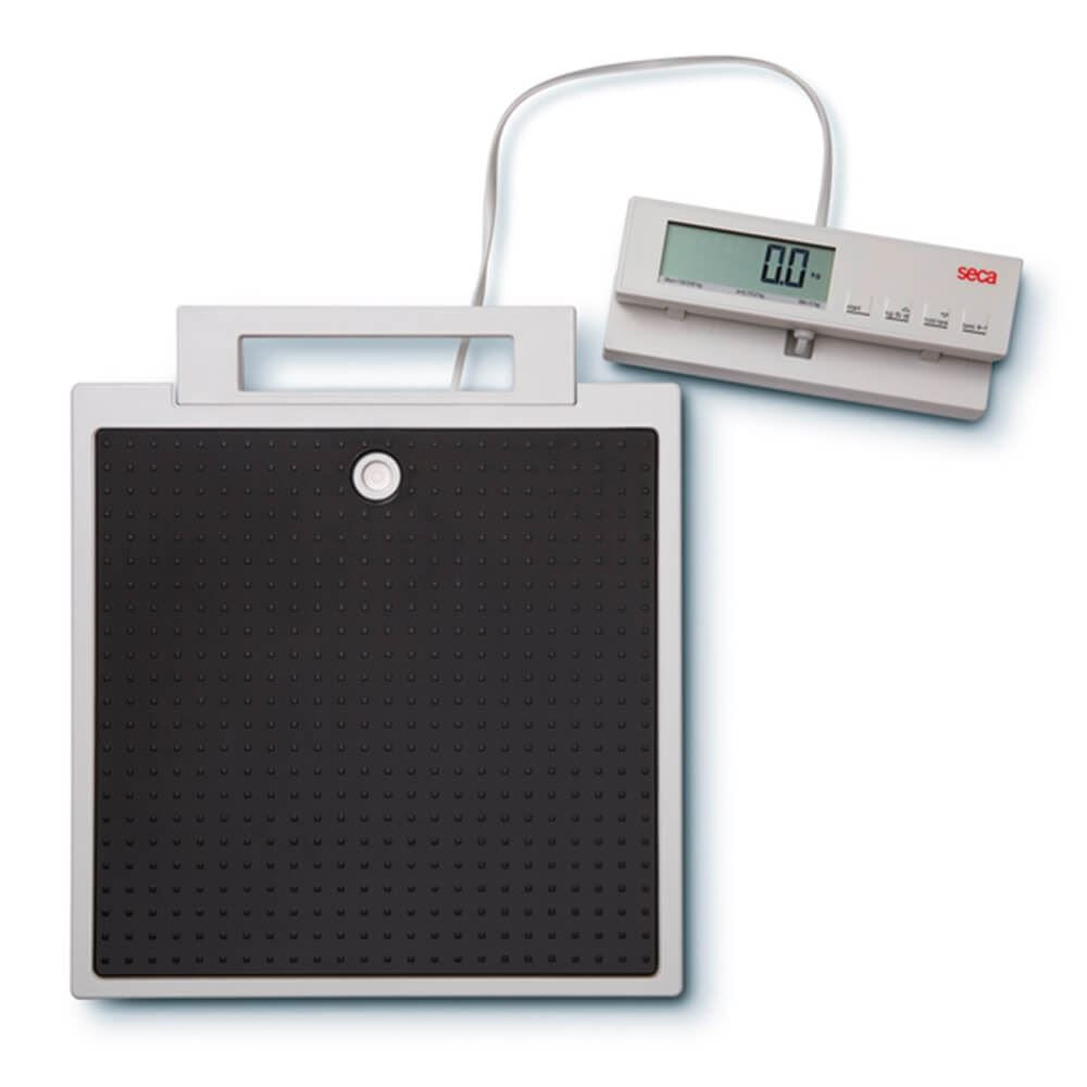 Seca 869 Flat Scales