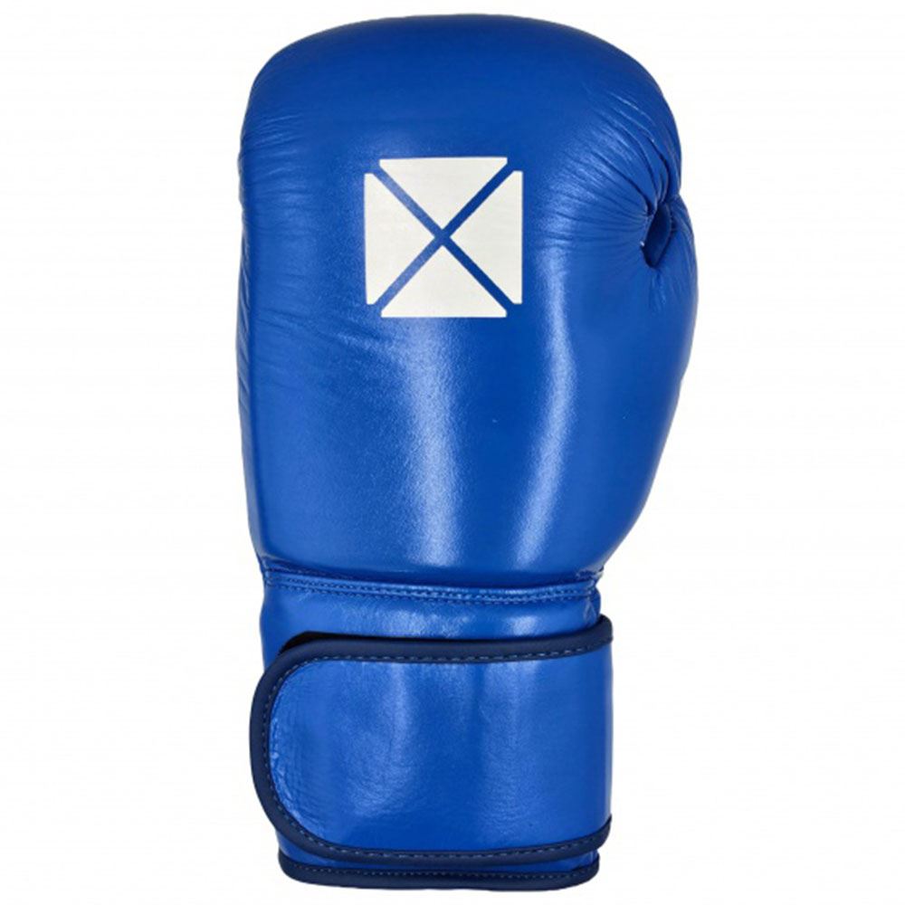 PRO BOX LEATHER ESSENTIAL HOOK & LOOP BOXING GLOVES II