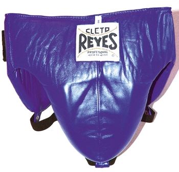 Cleto Reyes Foul Protection